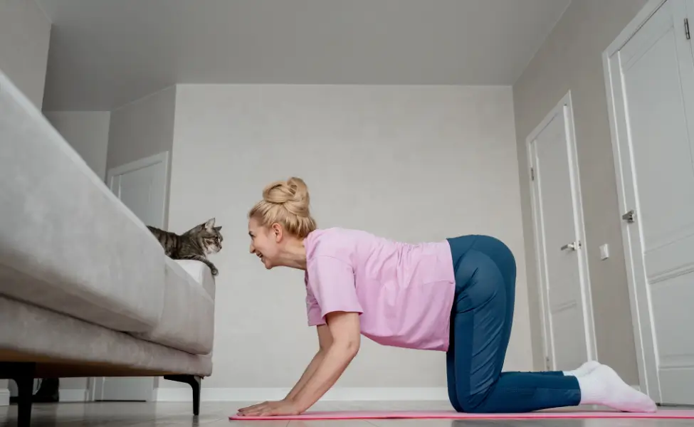 Gentle Morning Moves Cat Cow