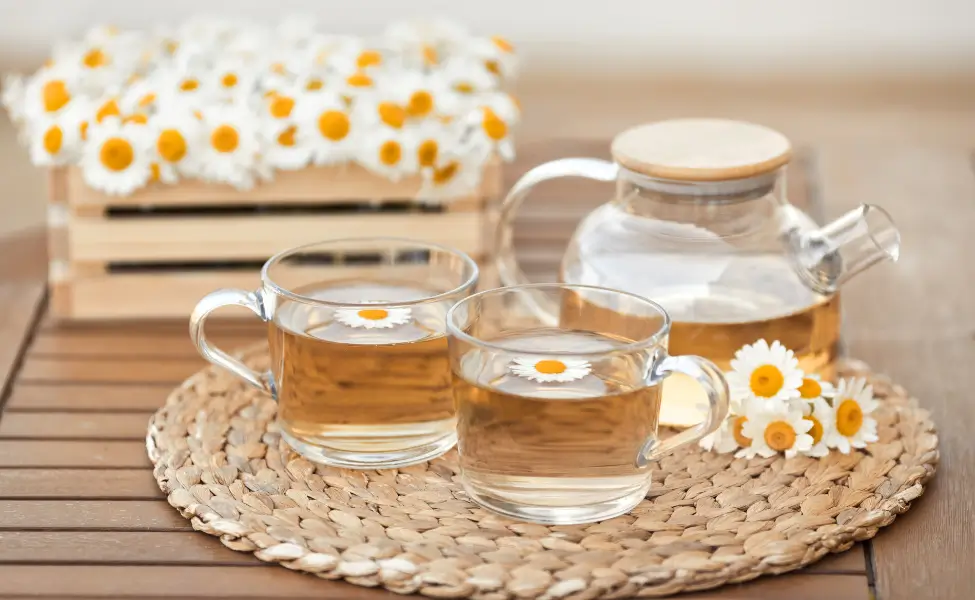 morning habits after sixty Drink chamomile tea