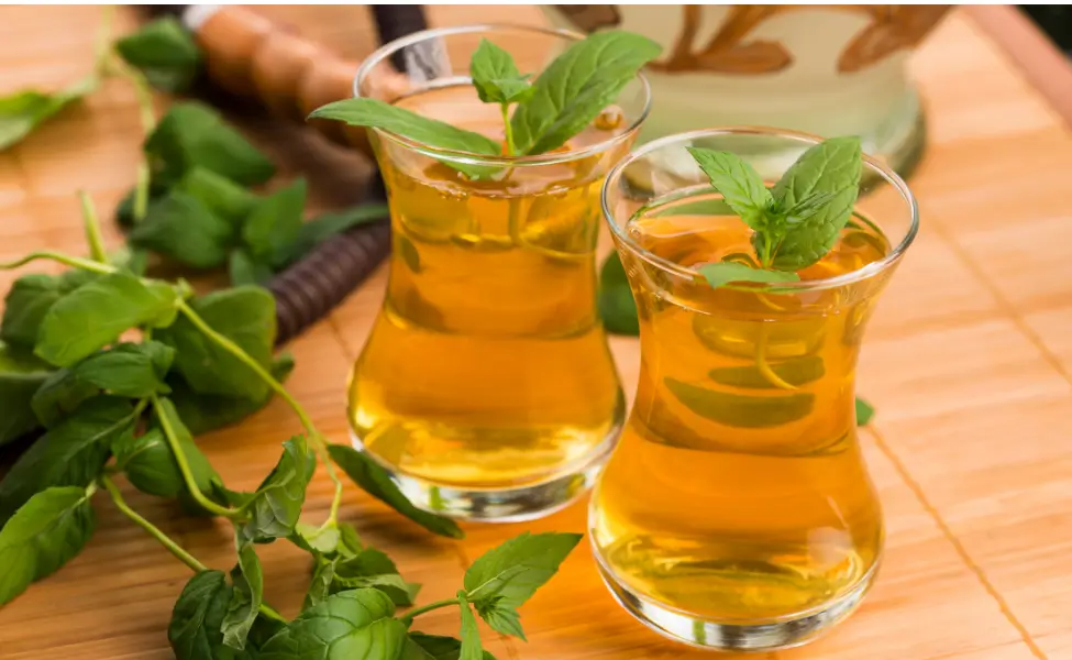Nettle Tea Benefits for Women Over 60