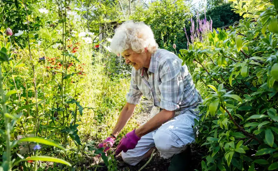 Weeding in the garden