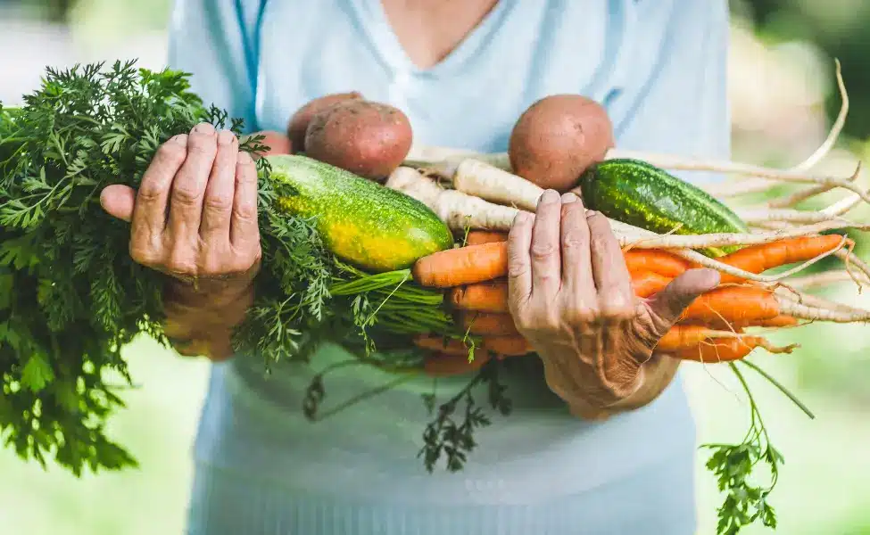 The yield of gardening