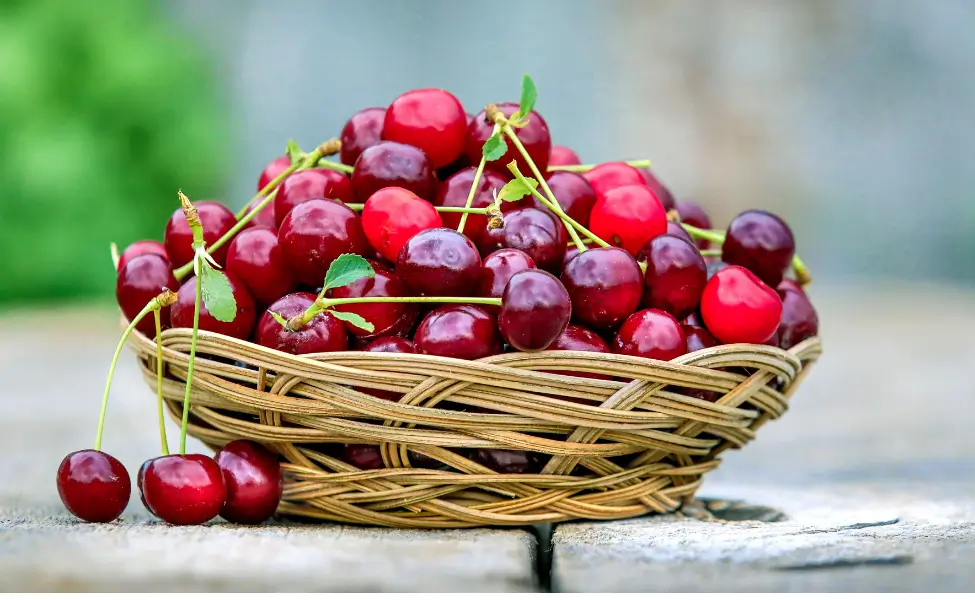 Tart cherries contain natural melatonin compounds
