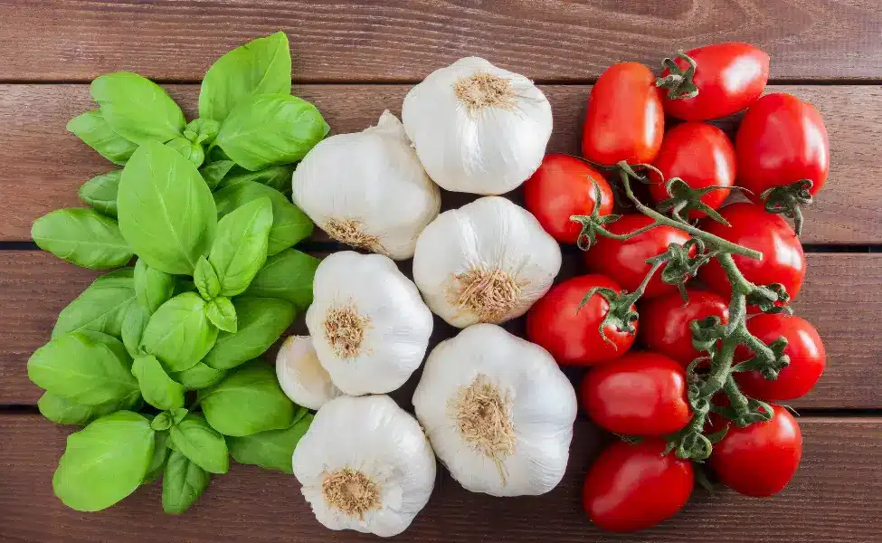Basil is the star of the Mediterranean kitchen