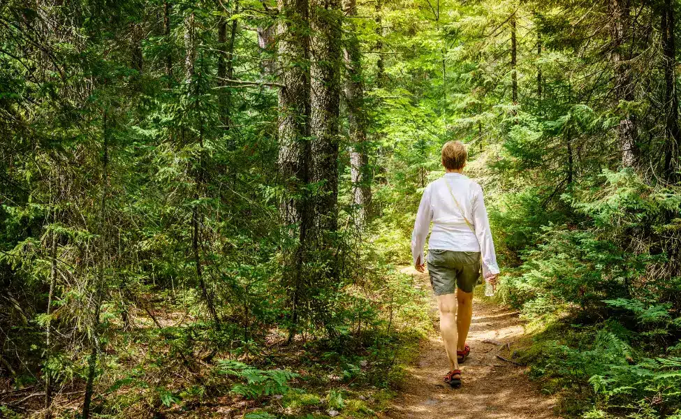 A walk among trees