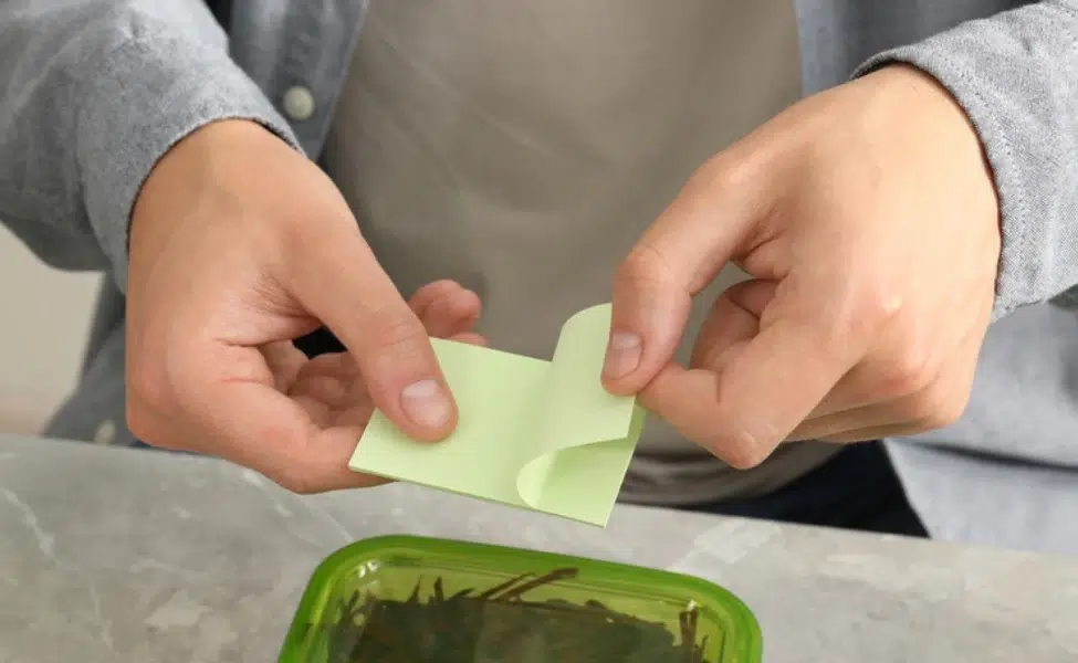 Writing a label for a container before it goes into the freezer